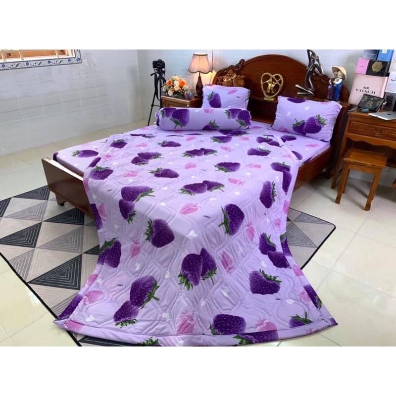 Bộ drap ga thun lạnh Hàn quốc 4 món chất đẹp