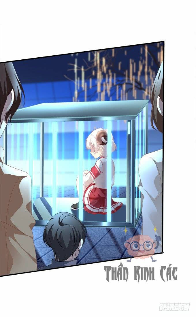 kiểm soát tuyệt đối chapter 1 19