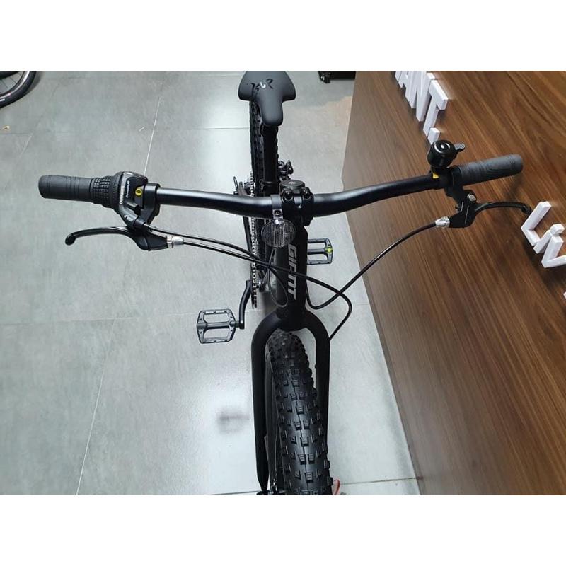 Xe đạp bánh béo GIANT STP 24 2022