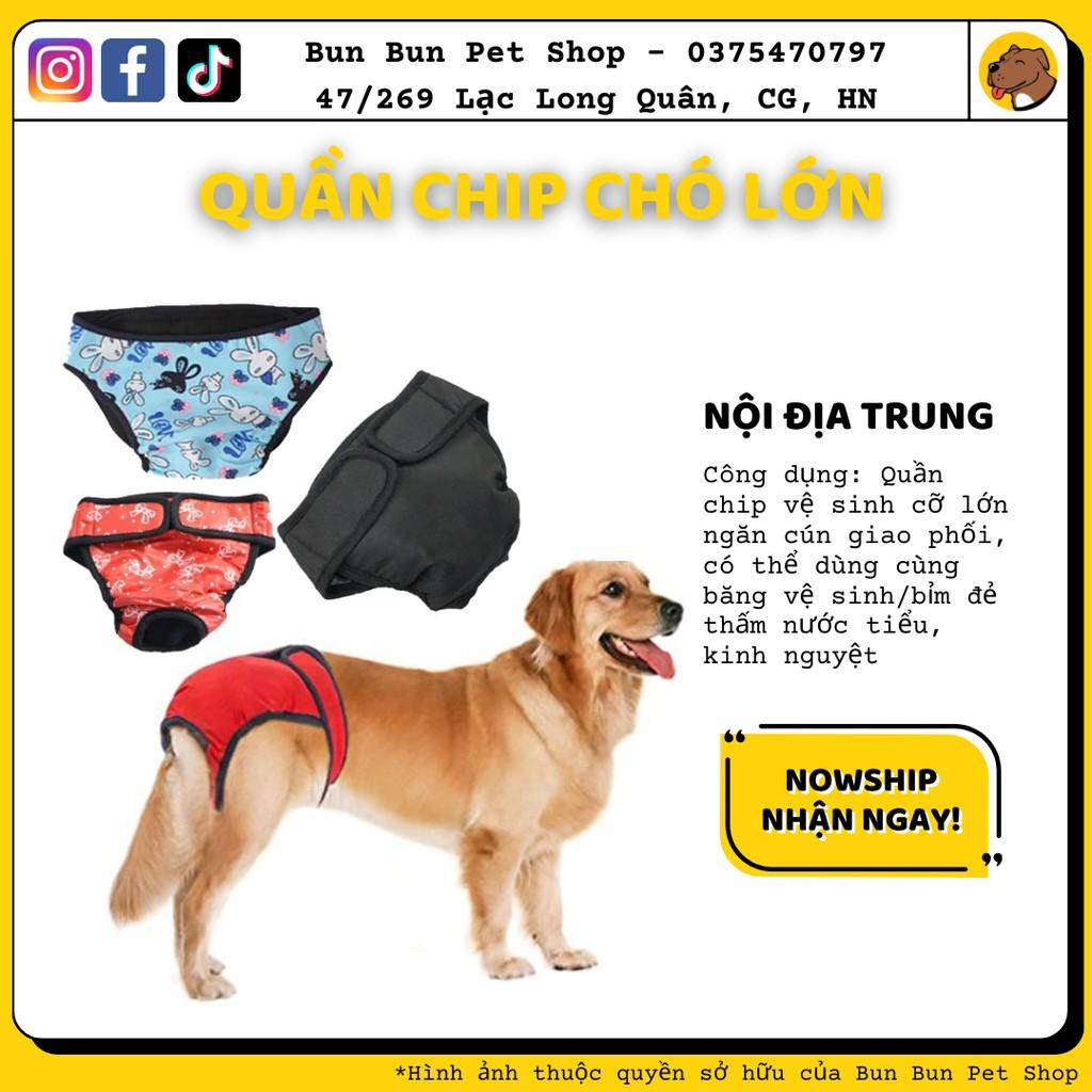 Quần chip cho chó lớn