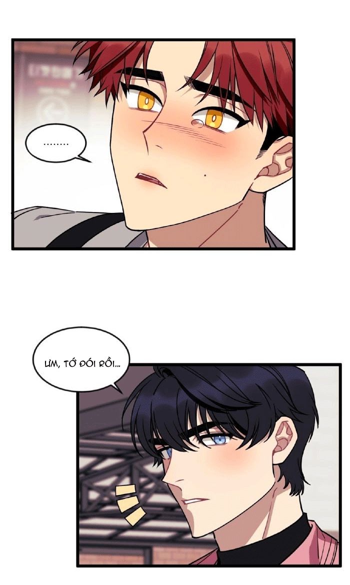 điều ước của cậu là mệnh lệnh của tớ chapter 8 54