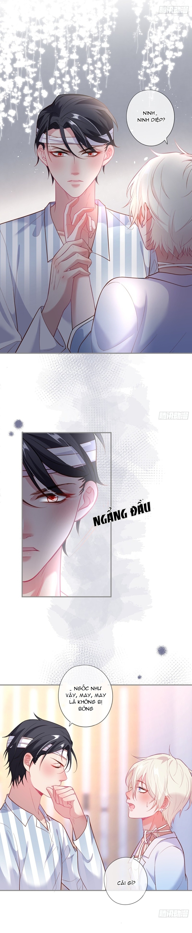 dưỡng khí chí mạng chapter 63 8
