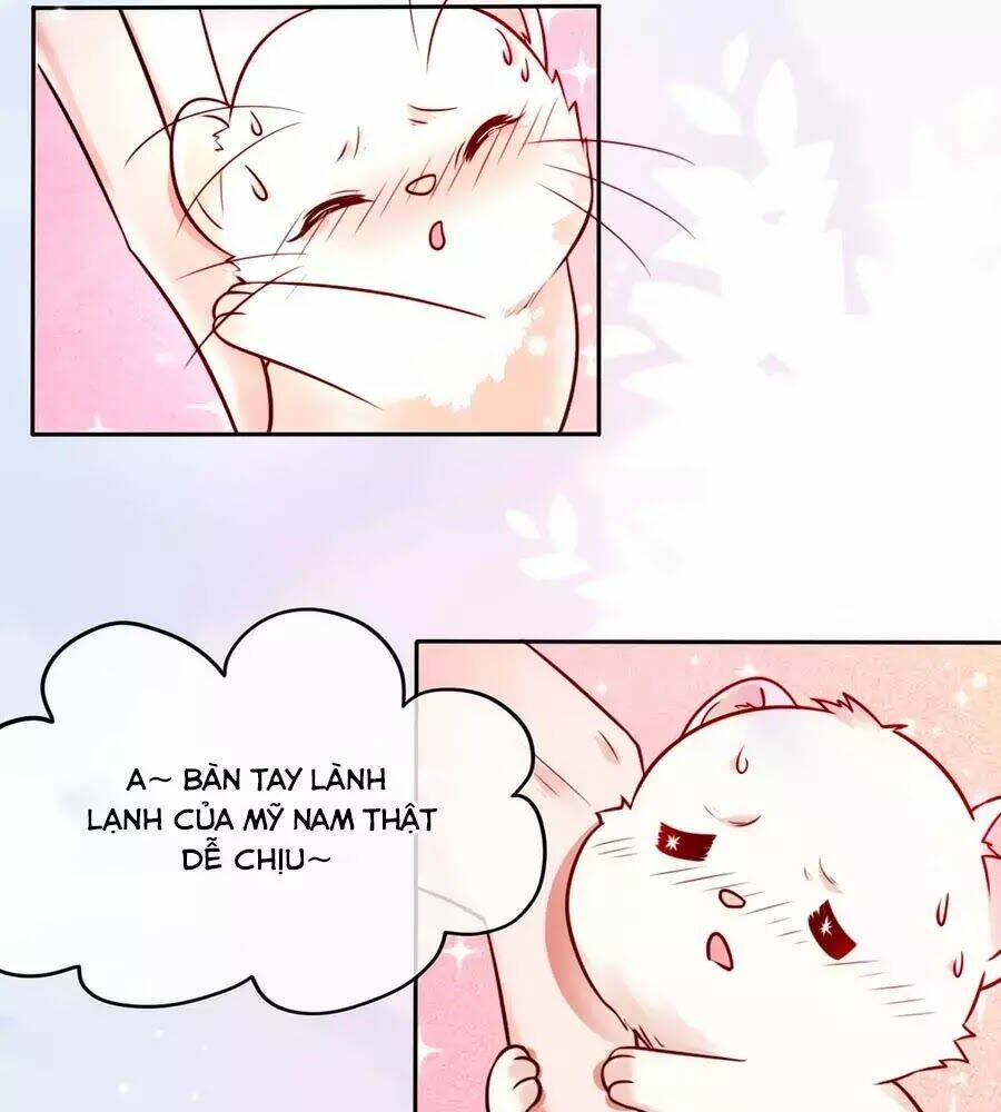 dưỡng thú vi phi chapter 2 64