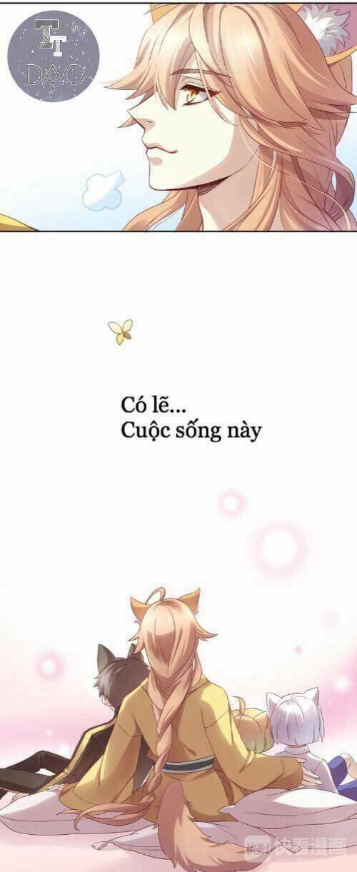 dưới móng vuốt mèo chapter 1 38