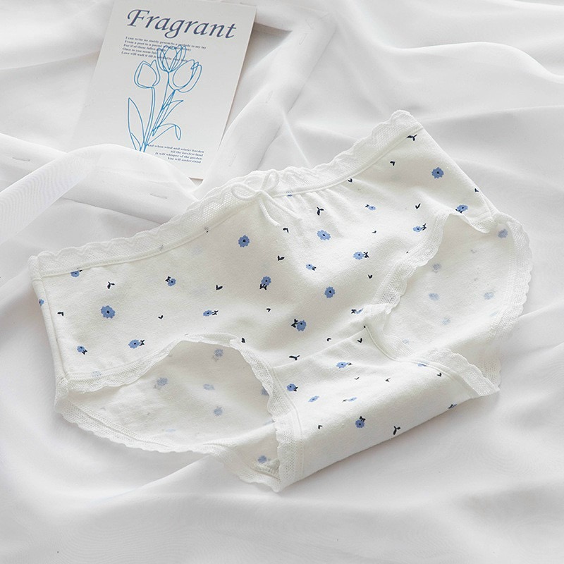 Combo 5 quần lót nữ cotton dễ thương Freesize kẻ xanh da trời