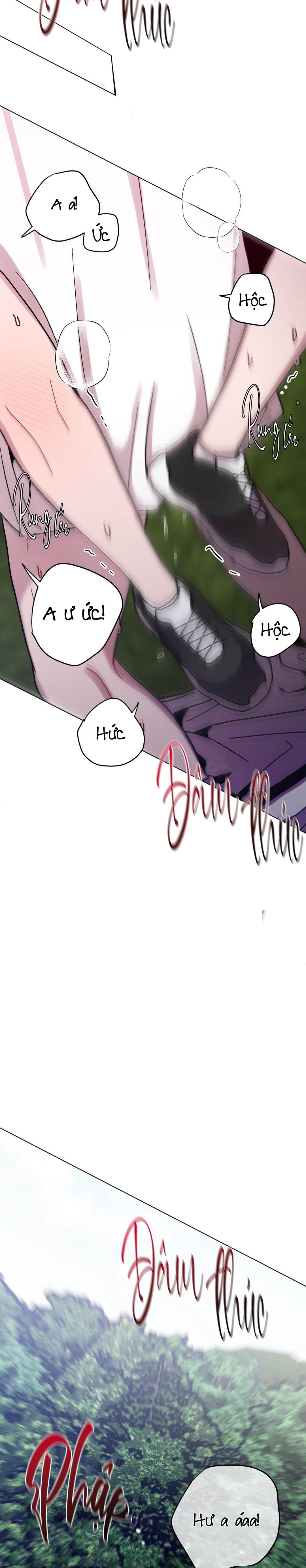 cơn mưa rào mùa hạ chapter 89 15