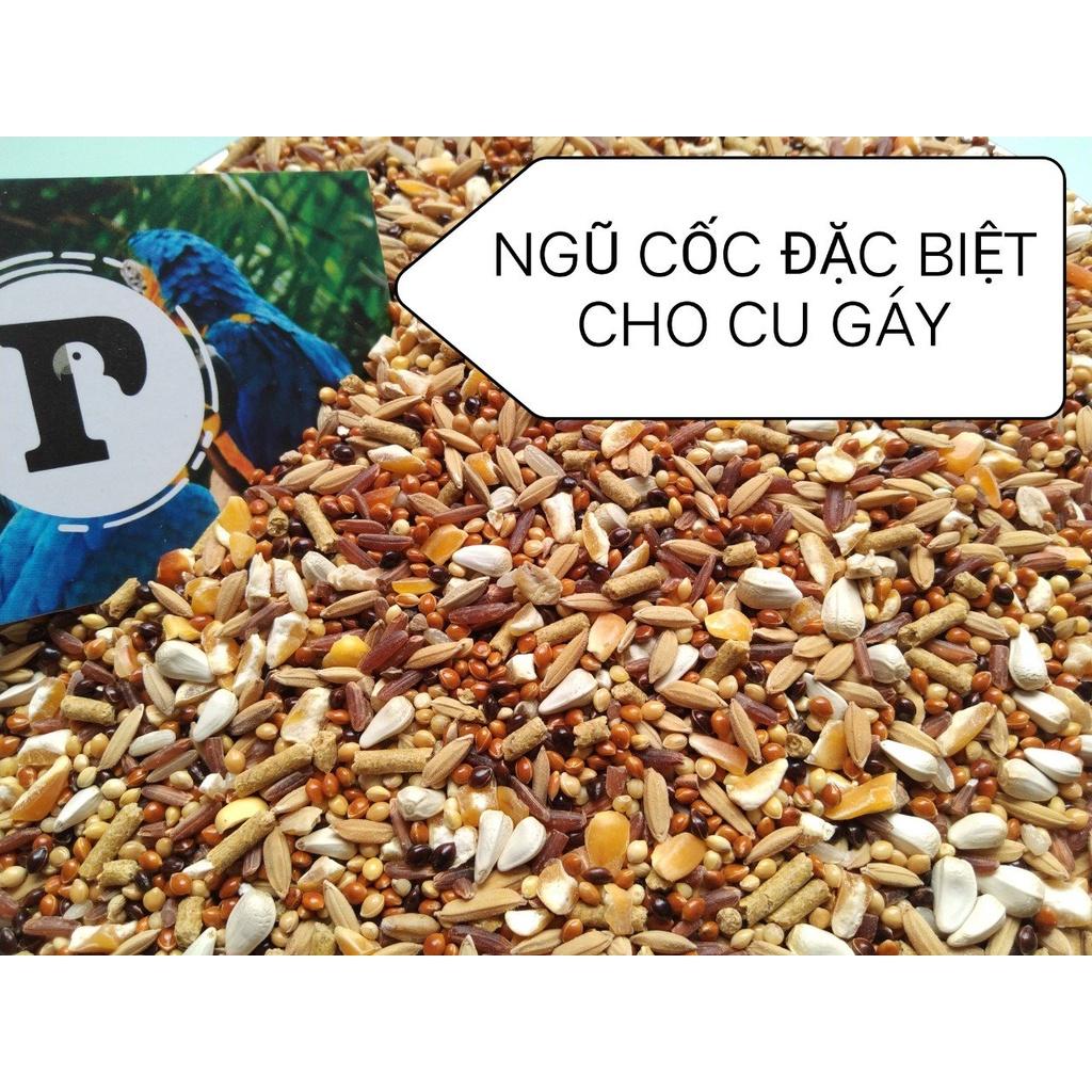 NGŨ CỐC ĐẶC BIỆT DÀNH CHO CU GÁY (GIÁ CỰC MỀM) ĐẦY ĐỦ CHẤT