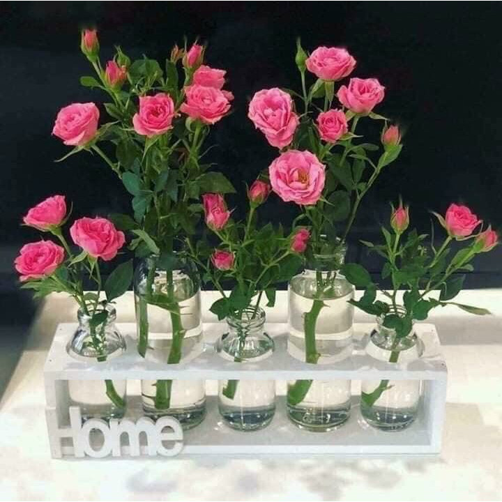 Set 5 lọ hoa thuỷ tinh kèm kệ gỗ trang trí nhà cửa
