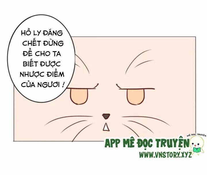 hồ tiên này không tin được chapter 15 9