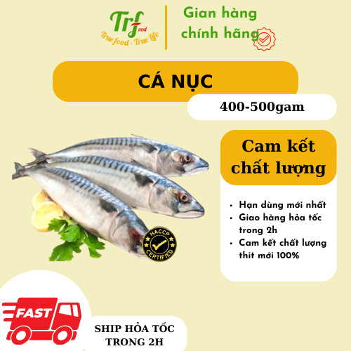 Cá nục Nhật 400-500g/con [Chỉ giao hỏa tốc HN]