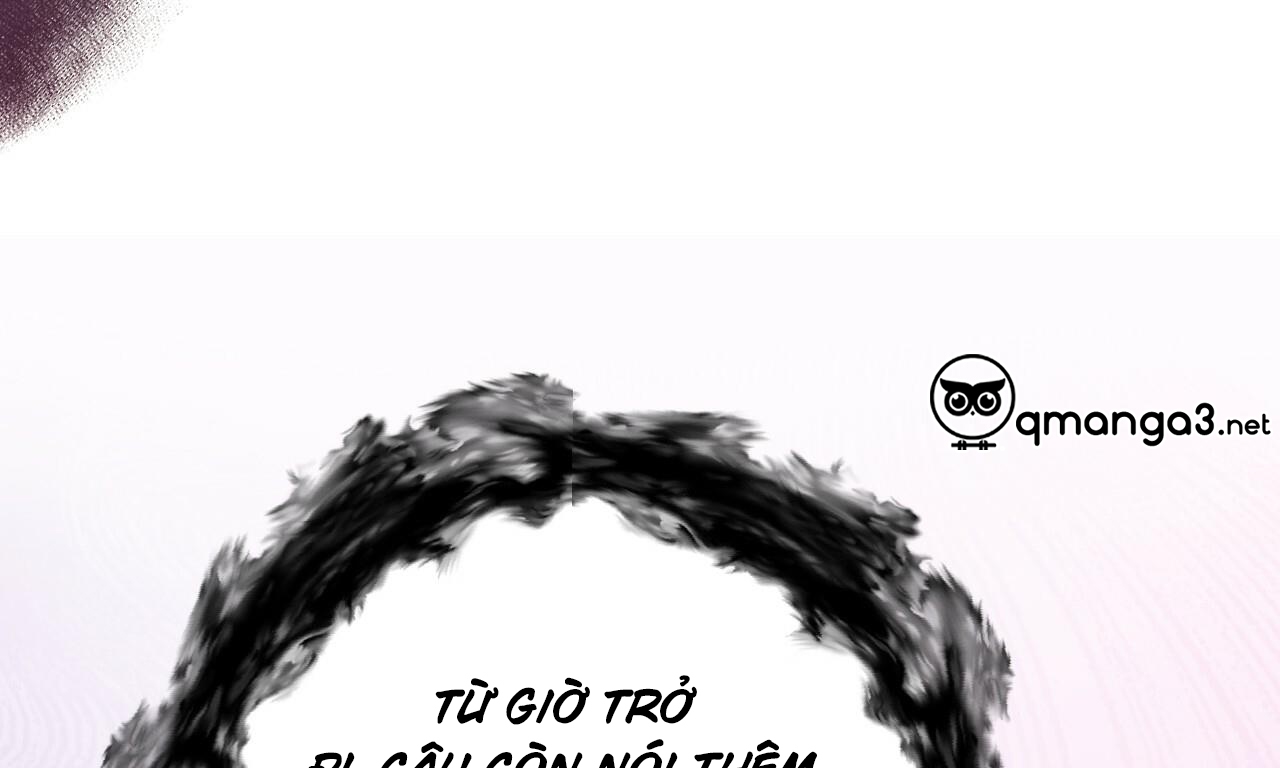 những chú thỏ của hapypy chapter 51 259