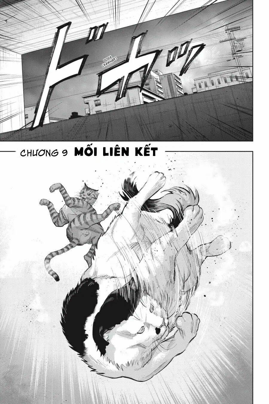 nyankees chapter 9 5