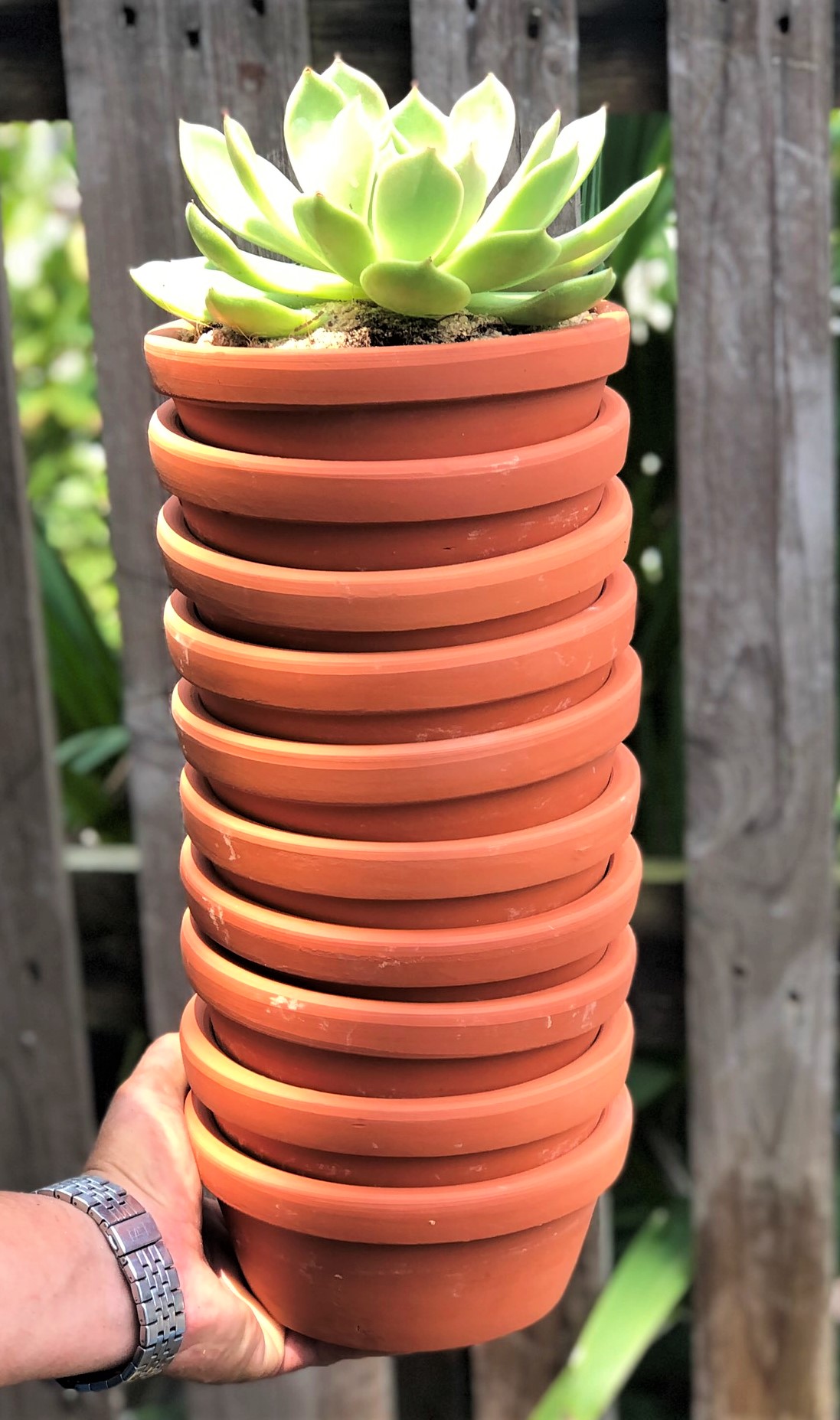 Bộ 10 chậu đất nung trồng xương rồng sen đá rộng 16 cm x rộng 7 cm