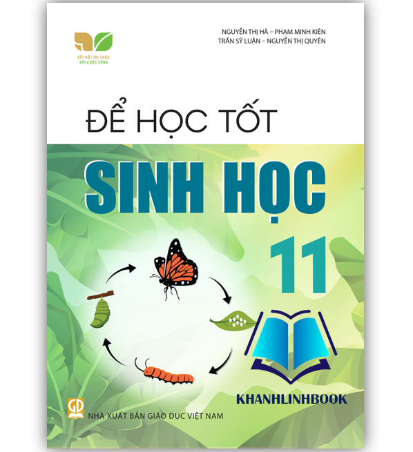 Sách - Để học tốt Sinh học 11 (Kết nối tri thức với cuộc sống)