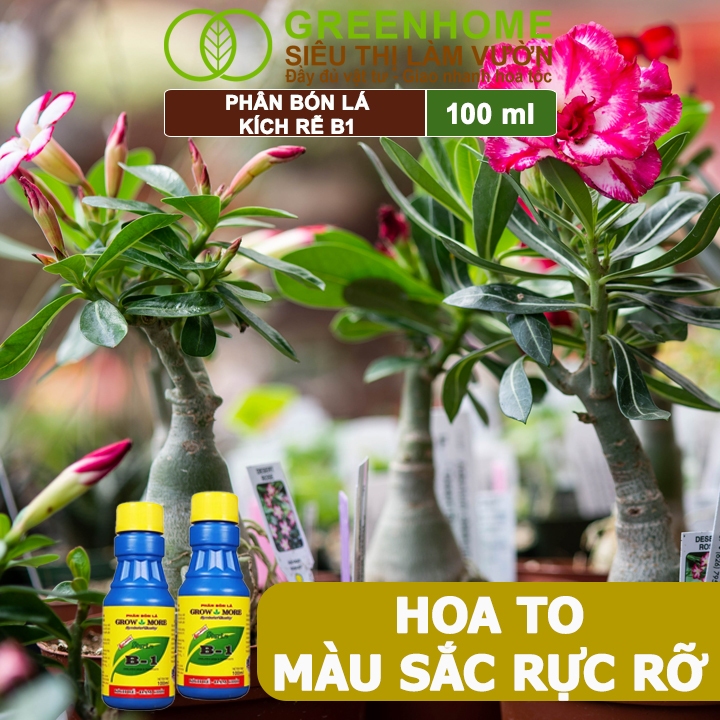 Phân Bón Kích Rễ, Greenhome, B1, Chai 100ml, Tạo Mầm, Rễ Khoẻ, Sai Hoa, Phục Hồi Rễ Yếu, Lá Dày