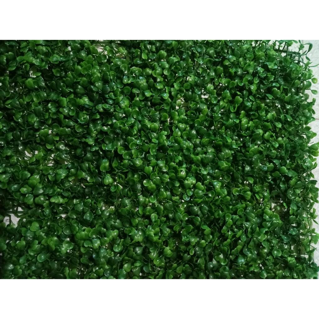 Cỏ nhân tạo treo tường cải xoong ,cỏ mắt châu ,trang trí quán cà phê ,spa,tiệm tóc ,shop kt rộng 40 x dài 60 tấm