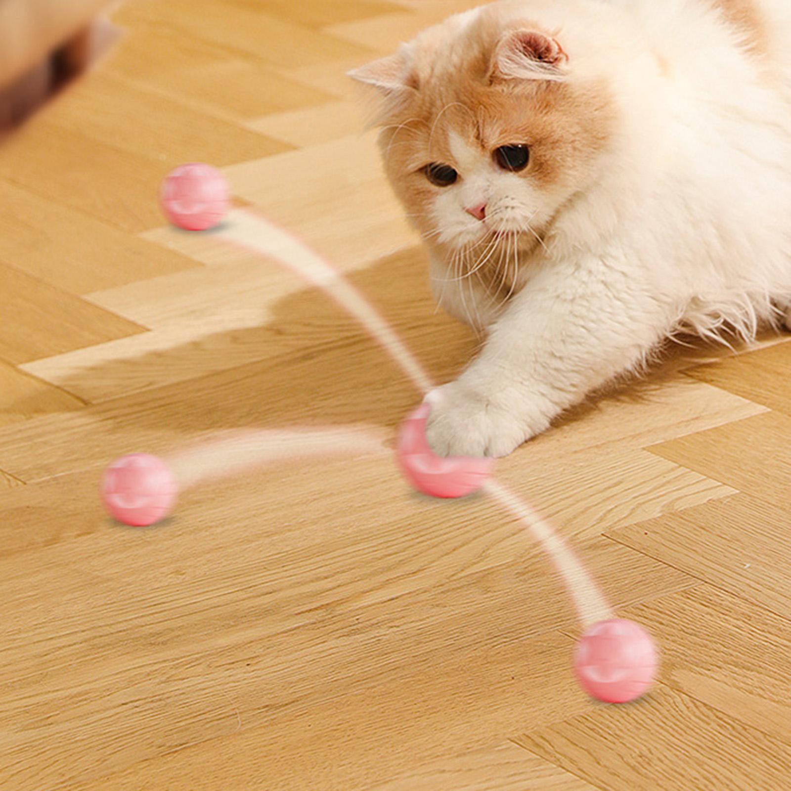 Interactive Cats Ball Toy Kitten Traning Toys Pet Supplies Automatic Pet Exercise Balls for Indoor Cats Exercise Training
