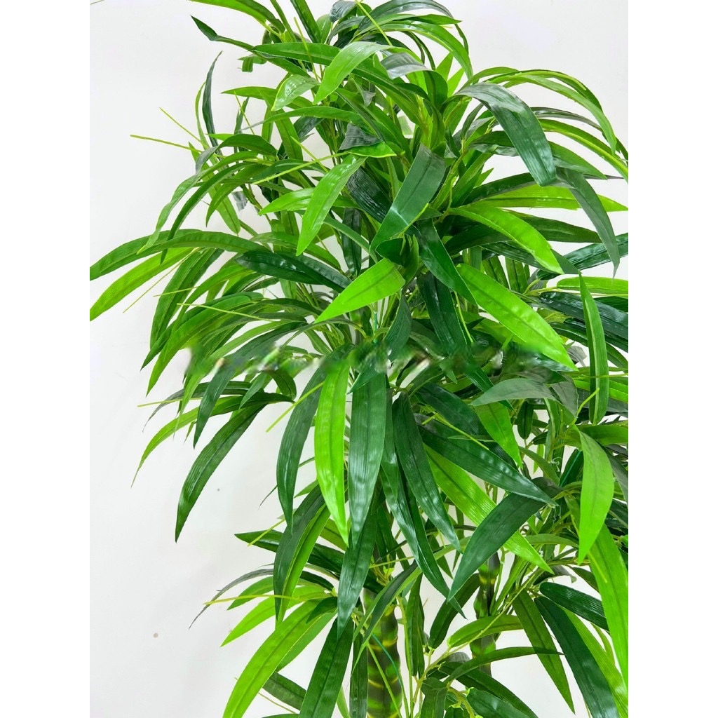 Cây trúc phật bà giả - cao 170cm - 3 nhánh - Cây giả, hoa lụa Decor trang trí nhà cửa