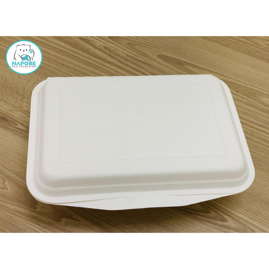 100 hộp bã mía vỏ sò chữ nhật 8x6 inch 2 ngăn 20x15x5cm