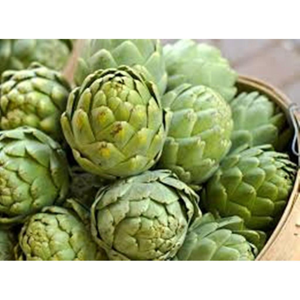 Hạt Giống Hoa Atiso 2gr - 3 màu