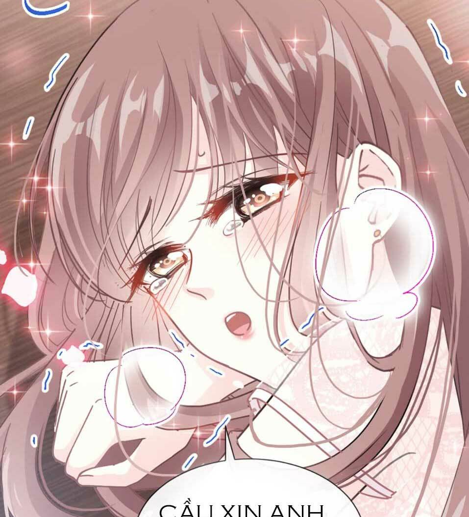 bá đạo tổng tài nhẹ nhàng yêu chapter 47.1 10