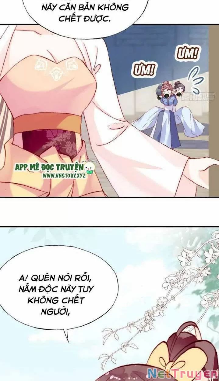 lại bị bệnh chiều chuộng quấn lấy chapter 9 25