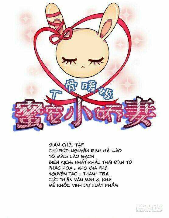 nhập cốt noãn hôn - mật sủng tiểu kiều thê chapter 1 1