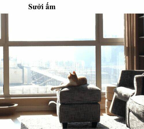 đại thánh và tiểu yêu chapter 50 27