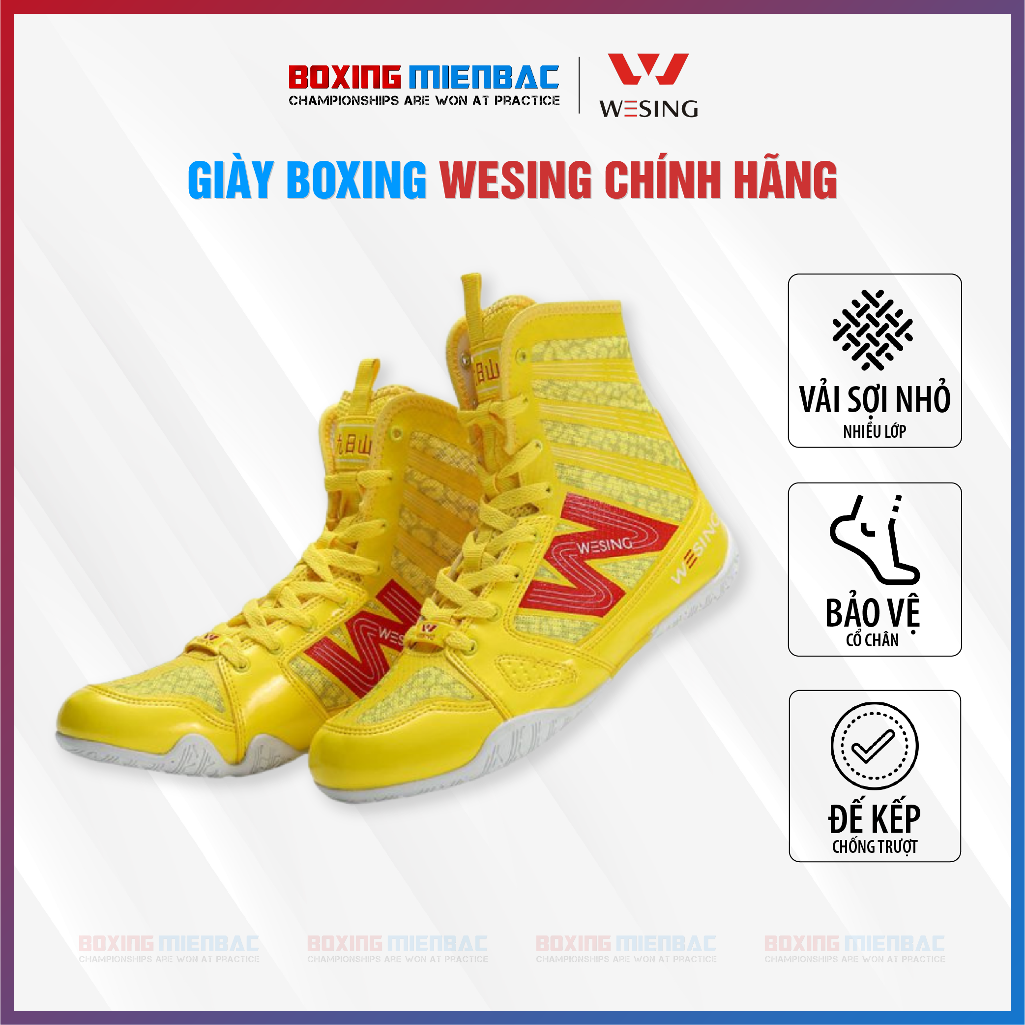 Giày Boxing Wesing - Boxing Shoes Wesing/ Màu Vàng