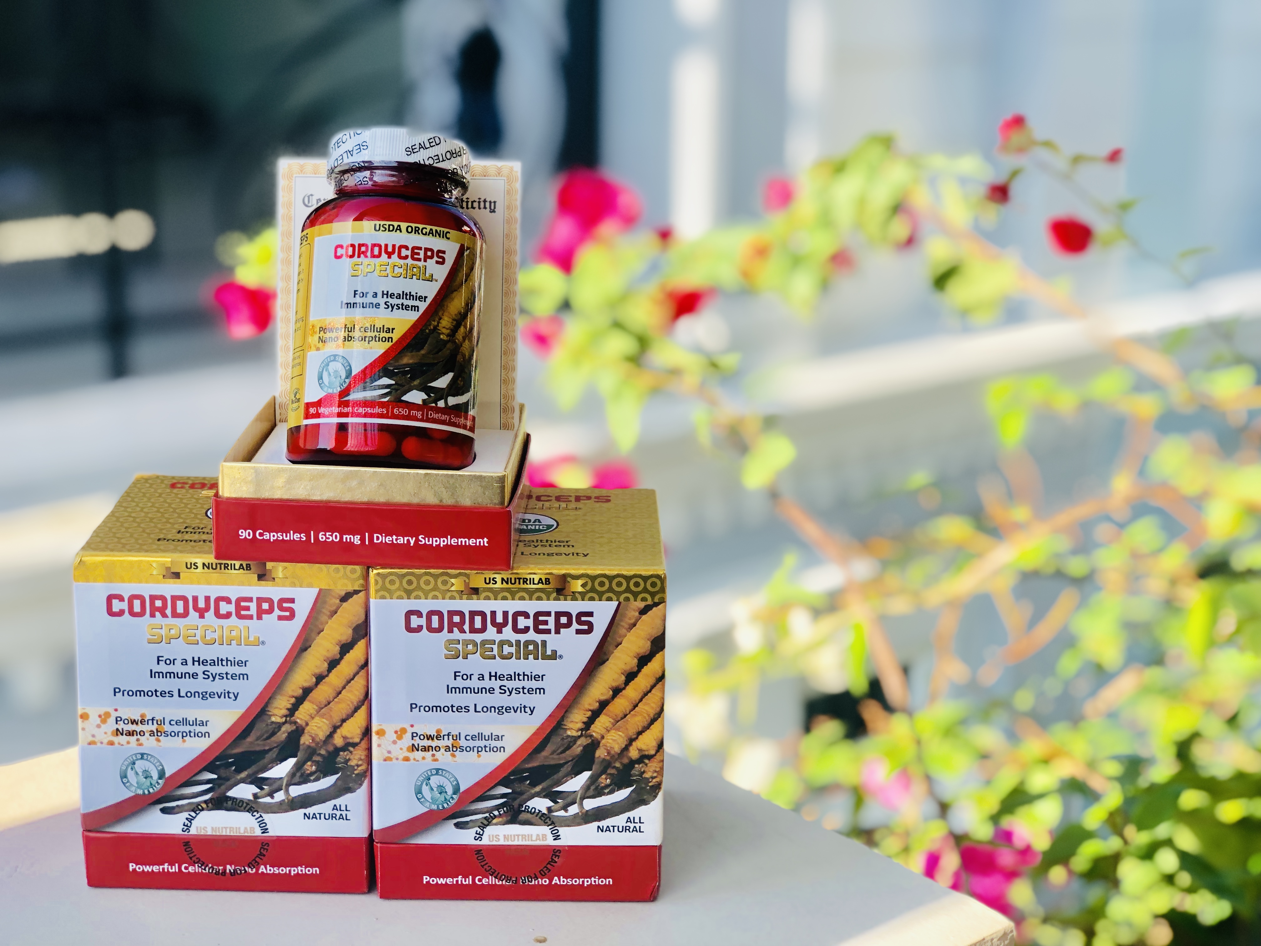 Thực Phẩm Chức Năng Đông Trùng Hạ Thảo Cordyceps Special