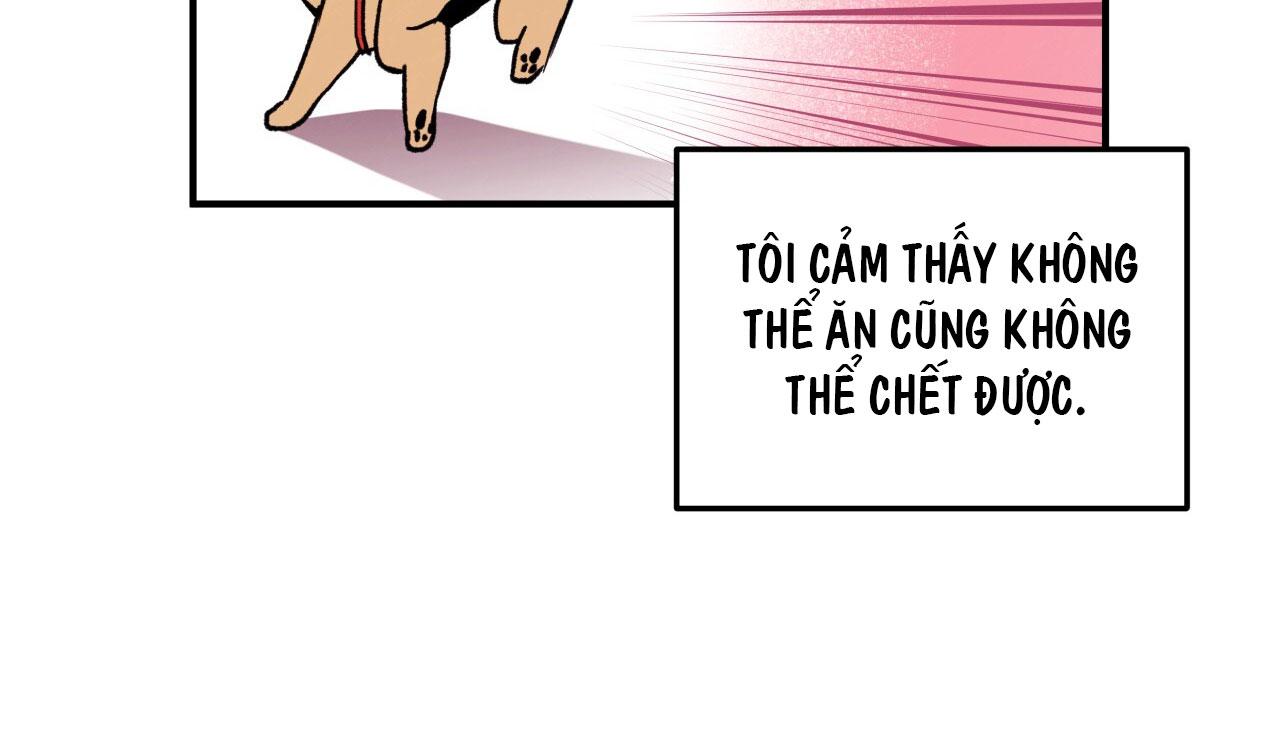 mật gấu chapter 1 10