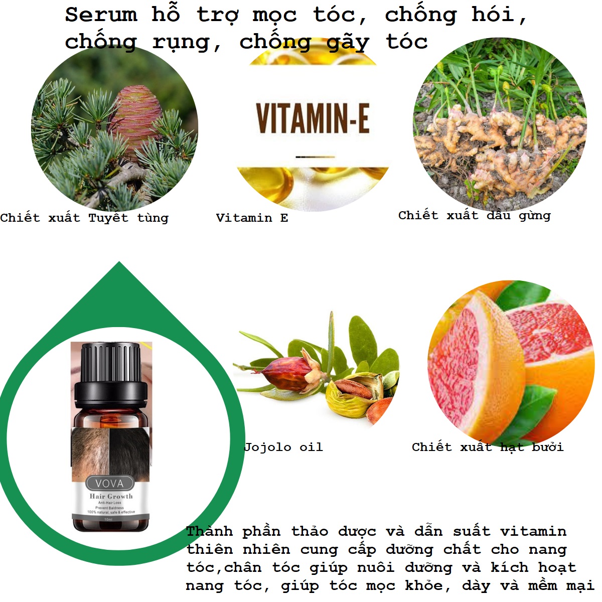 Serum mọc tóc, chống hói, chống rụng, chống gãy tóc, thành phần tự nhiên an toàn và tiện dụng
