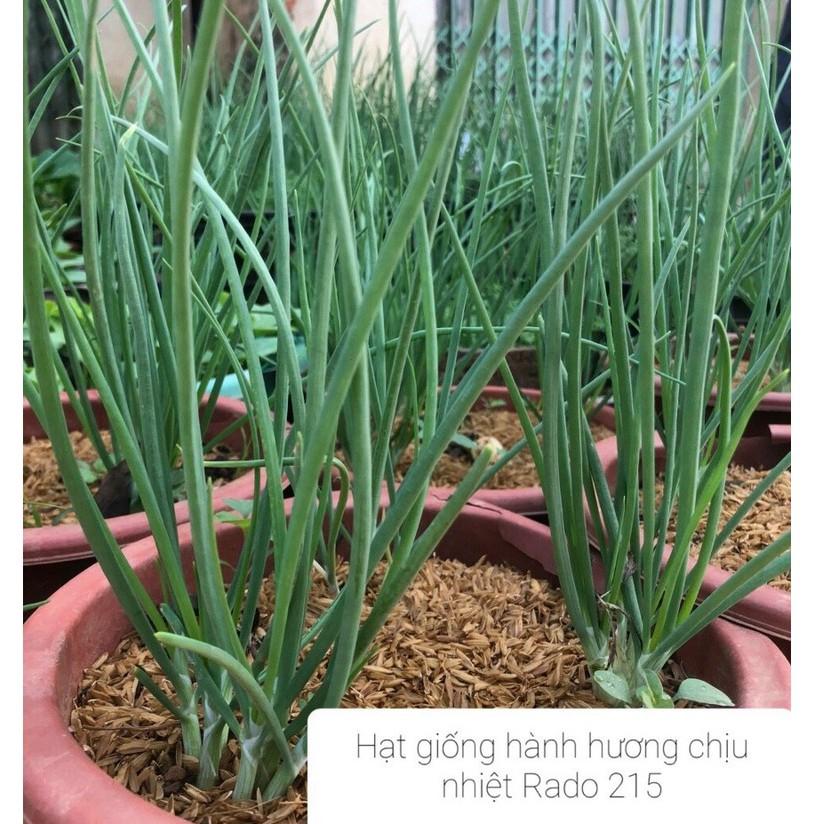 Hạt giống Hành Hương chịu nhiệt, đóng gói 2gr