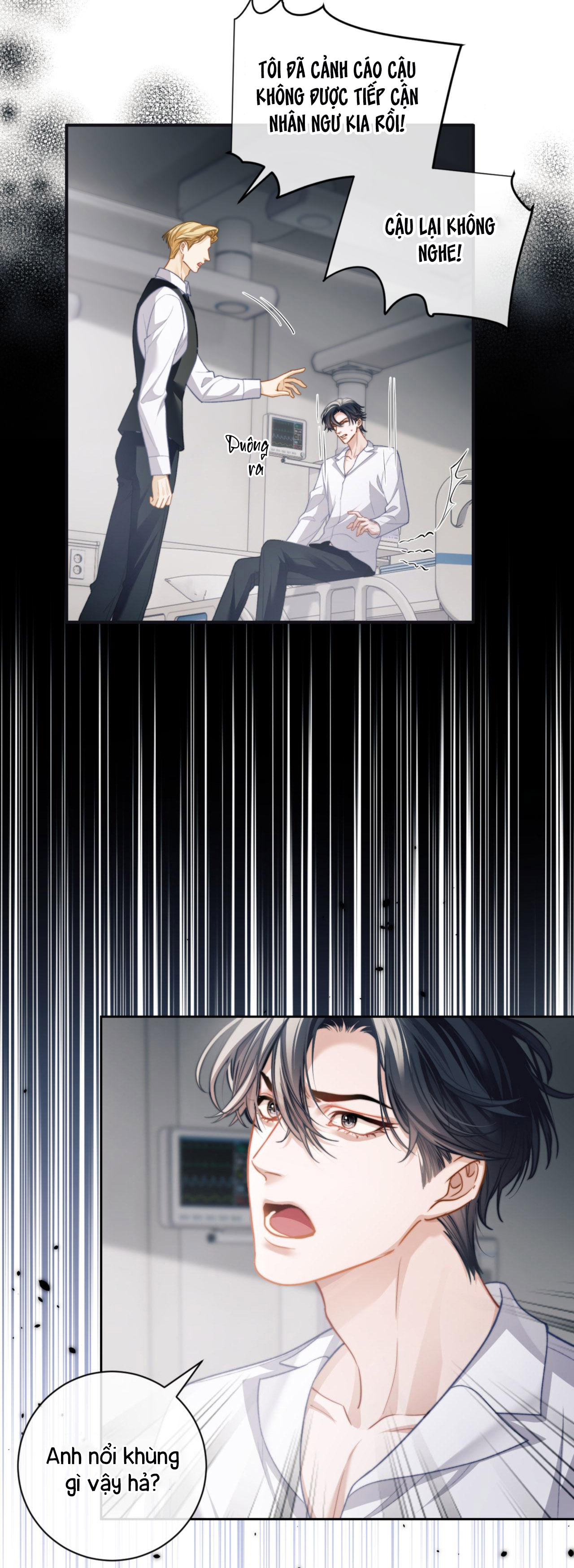 nhân ngư dessaro chapter 11 8