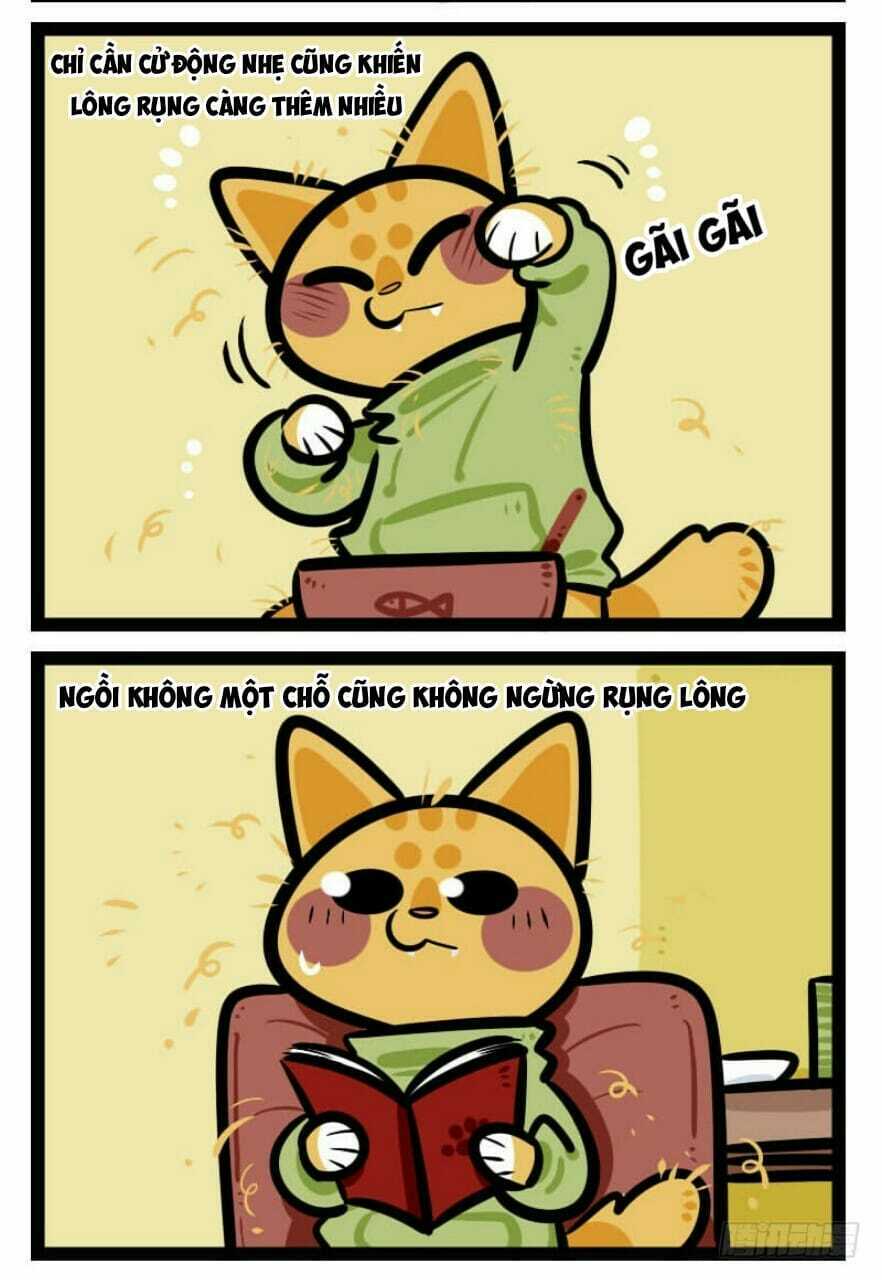 đời không như mình tưởng chapter 35 3