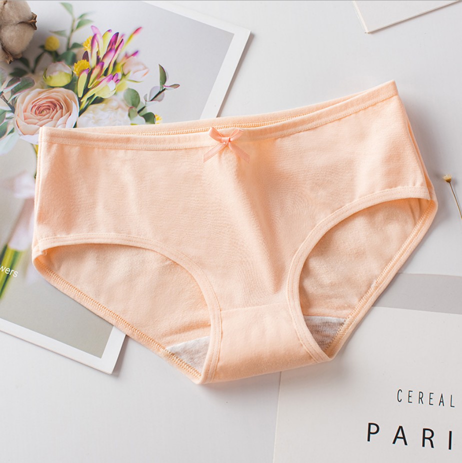 COMBO 10 QUẦN LÓT NỮ CAO CẤP, QUẦN CHIP CHẤT LIỆU VẢI COTTON NGĂN MÙI, KHÁNG KHUẨN THẤM HÚT MỒ HÔI L-2970