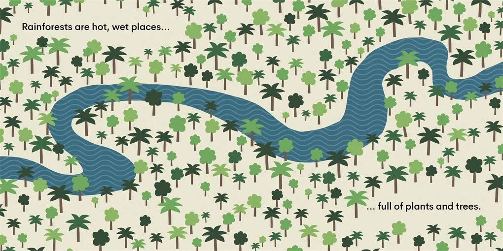 Sách ngoại văn: Eco Baby - Rainforests