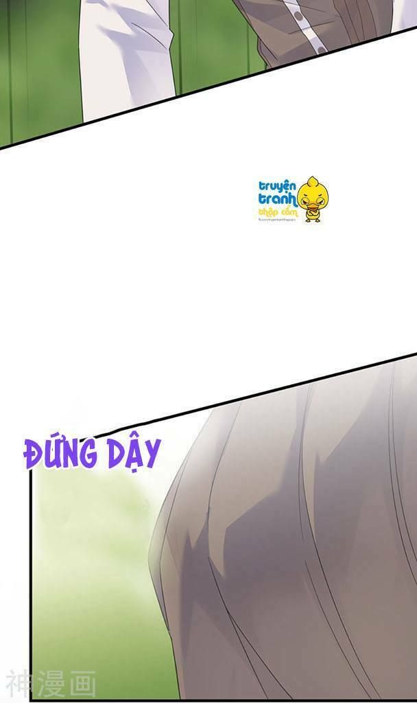 chọc tới chủ tịch tổng tài 2 chapter 69 23