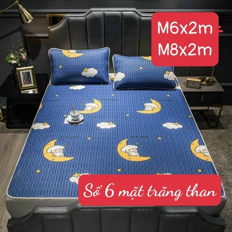 Chiếu điều hoà - 1 chiếu kèm 2 vỏ gôi,1m6.2m