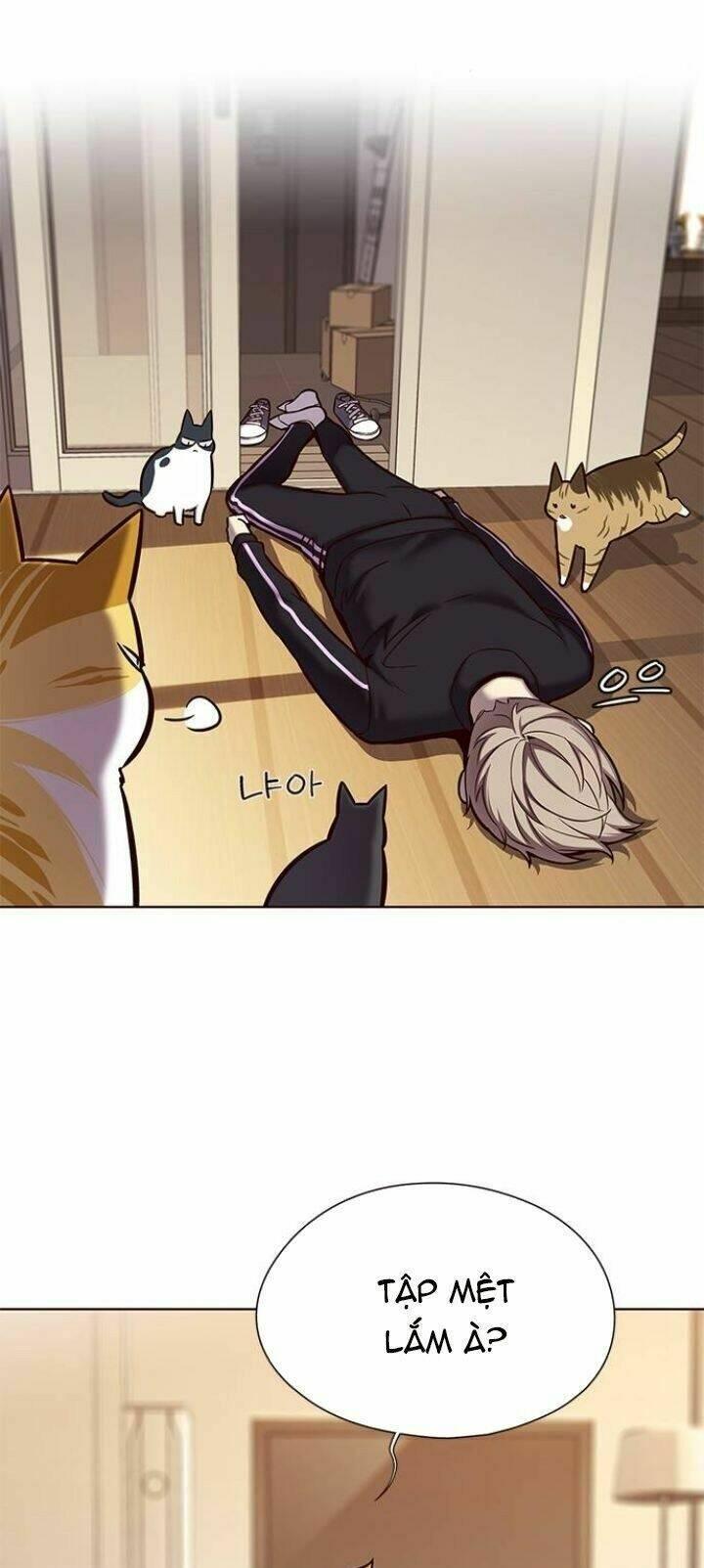 biến thân thành mèo chapter 118 41