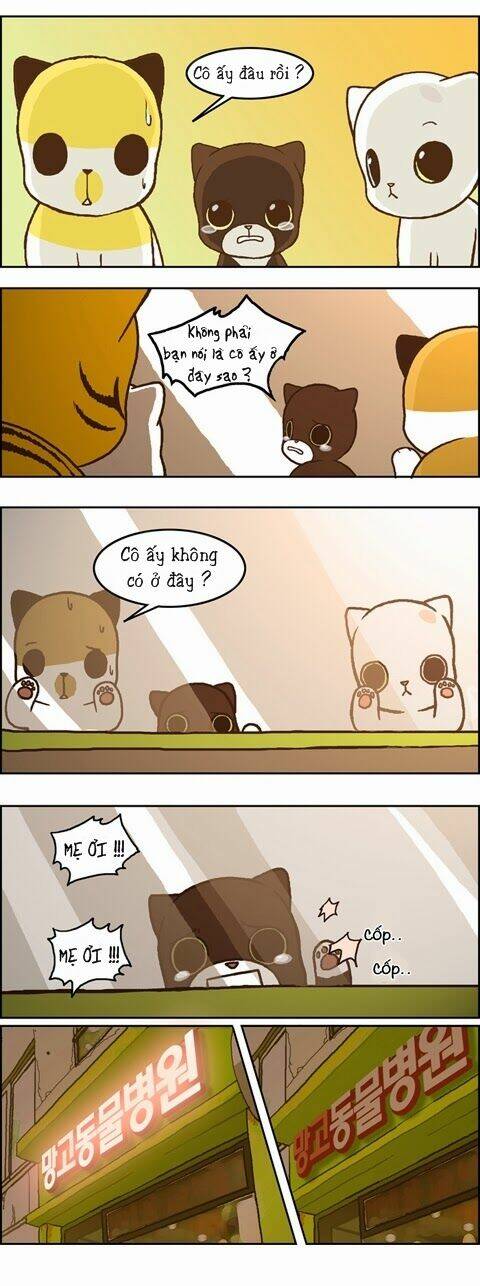 papi nyang chapter 18 11