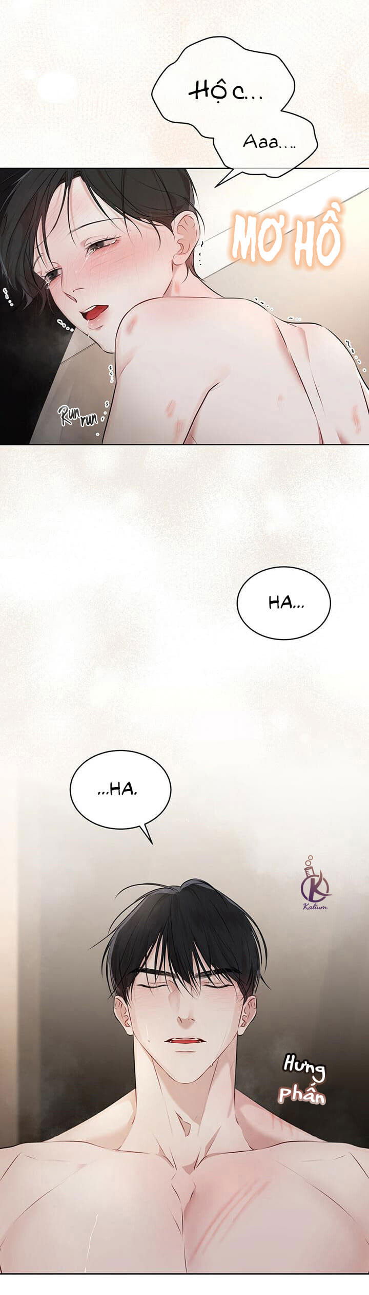 hình thái khởi sinh chapter 29 2