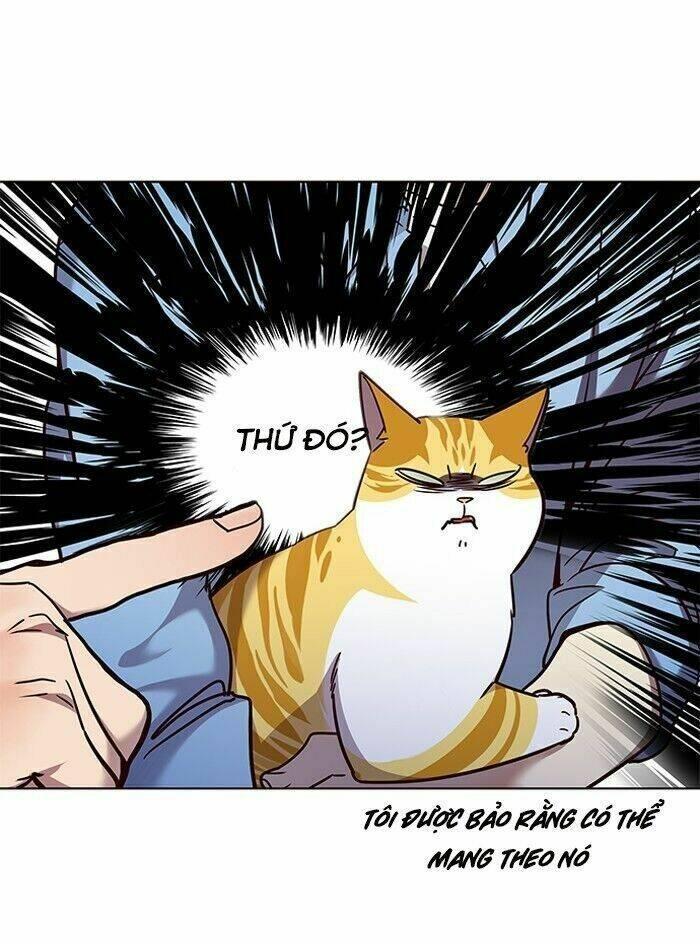 biến thân thành mèo chapter 62 35