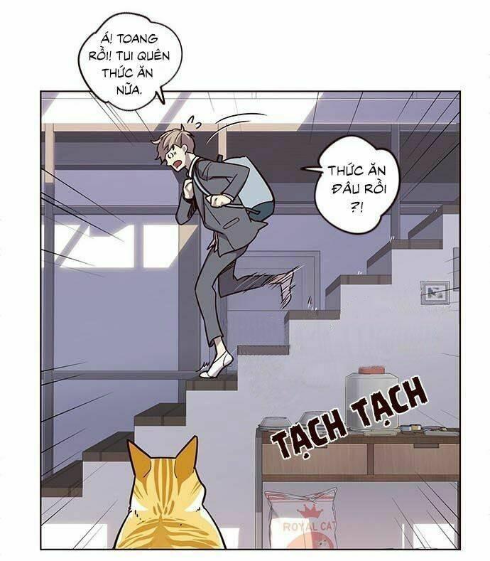 biến thân thành mèo chapter 9 13