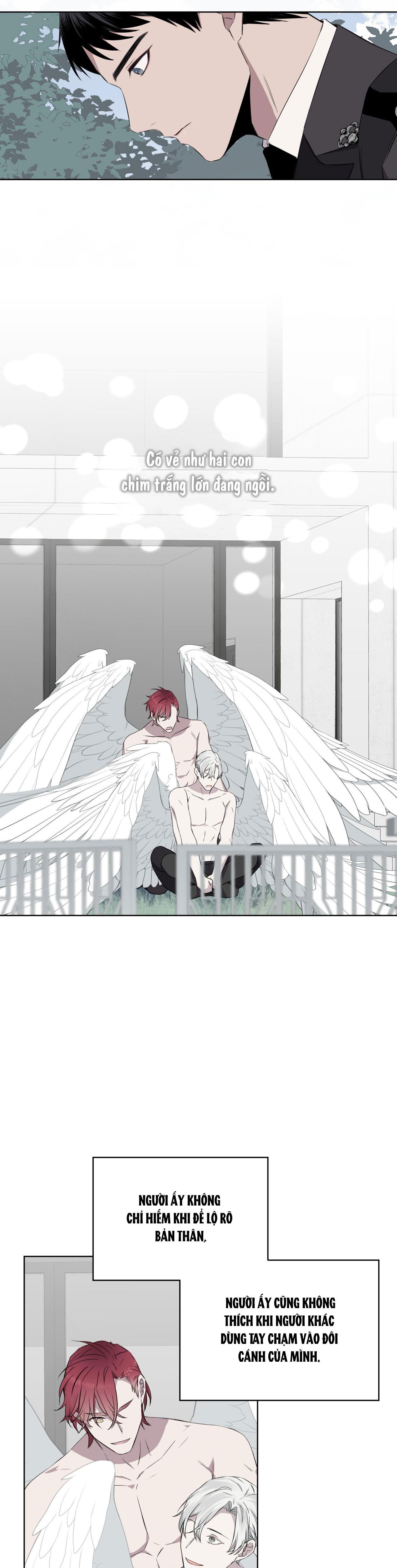 rừng biển [bl] chapter 22 27