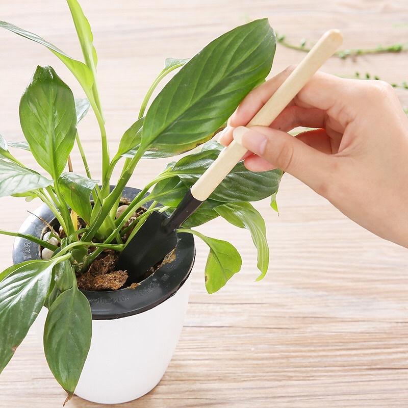 Bộ Dụng Cụ Làm Vườn Trồng Cây 3 Món Cày Cuốc Xẻng Tiện Dụng