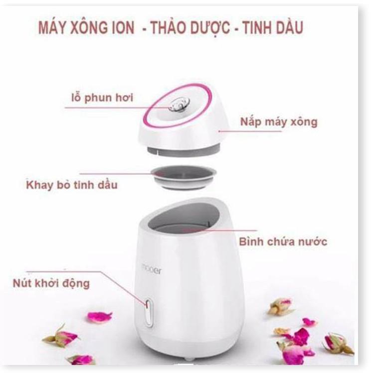 MÁY XÔNG HƠI DA MẶT HOA QUẢ TƯƠI TỰ ĐỘNG 2 IN 1 MAOER