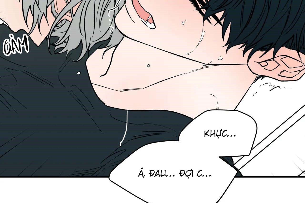 ám ảnh pheromone chapter 55 61