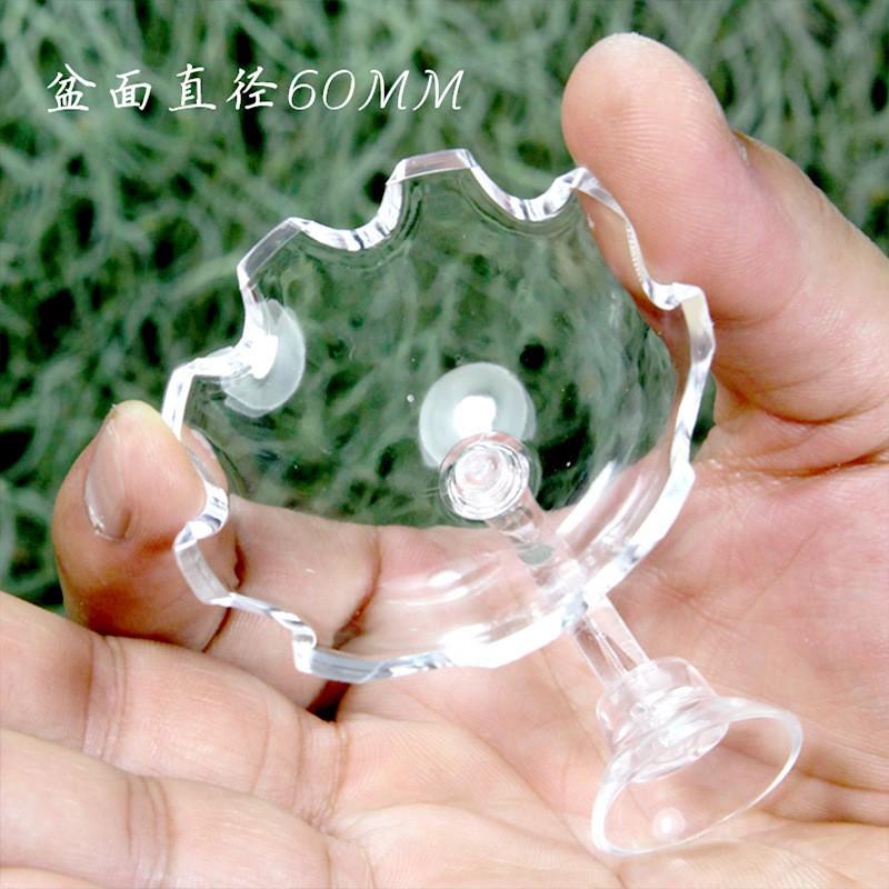 Đĩa cho tép ăn - phụ kiện thủy sinh - shopleo