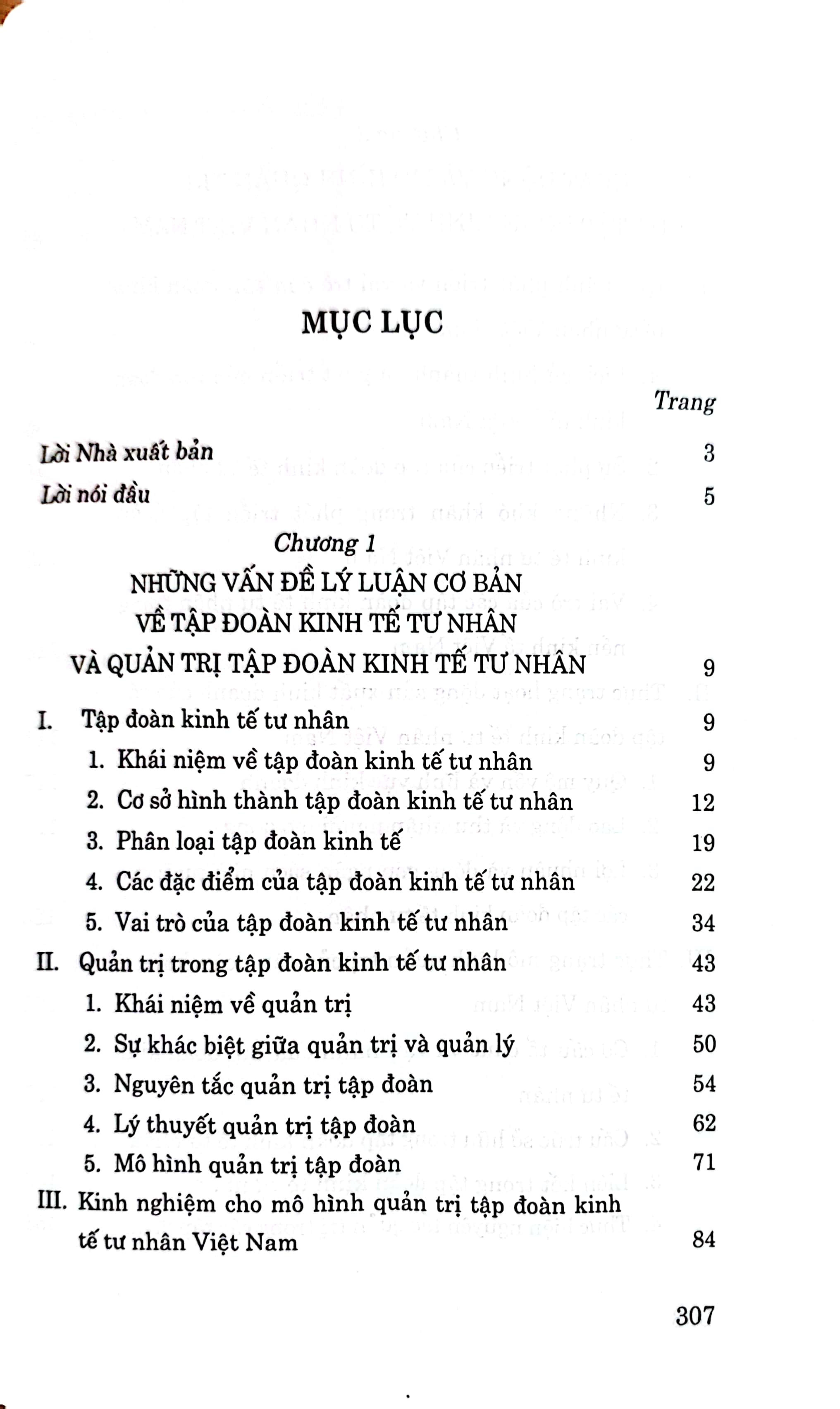 Mô hình quản trị tập đoàn kinh tế tư nhân Việt Nam